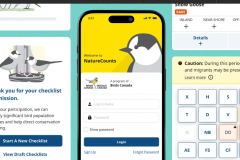 Elevating Citizen Scientists with NatureCounts Mobile App